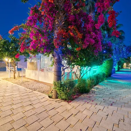 Modern One Bedroom In Caesar & Spa, Long Apartment